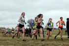 Womens under-17s 2018 Northern Cross Country Champs., Harewood House, Leeds. Photo: David T. Hewitson/Sports for All Pics